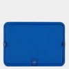 Electric Blue